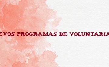 Campos de Voluntariado Juvenil