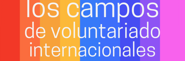 Campos de voluntariado internacional