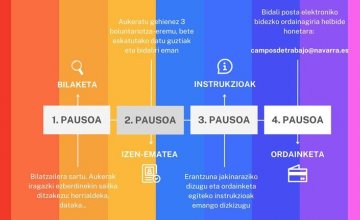 Campos del Servicio de Voluntariado Internacional