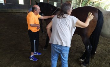 Ekinoterapia Nafarroan: kirol egokitua eta inklusiboa eta elkarrekiko zaintketa