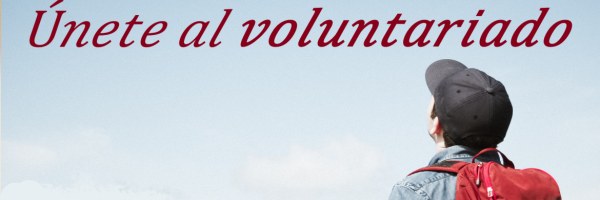 Especial programas de voluntariado en verano 