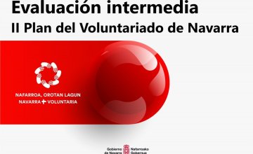 Evaluacin intermediadel II Plan de Voluntariado de Navarra