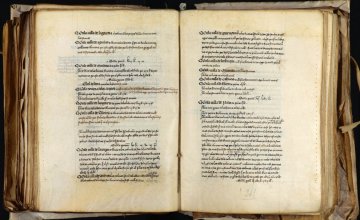 Izurri beltza mikroesposizio formatuan itzuliko da Nafarroara