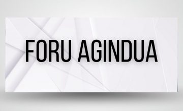 Nafarroako Gizarte Zerbitzuen arloko Ikuskaritza Plana