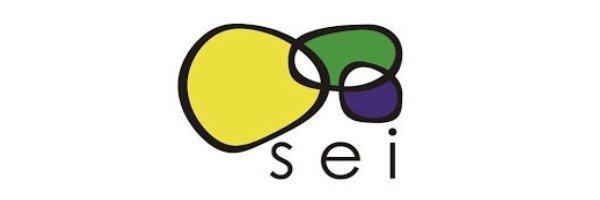 Voluntariado con Propsito: Construyendo Comunidad en SEI Elkartea