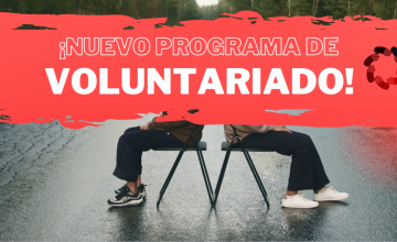 Voluntariado en Fundacin Ilundain