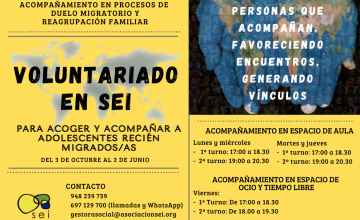Voluntariado en SEI