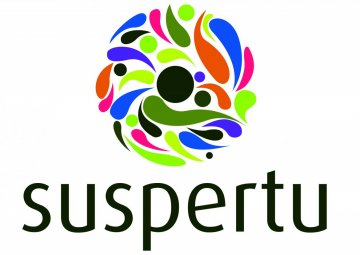 Suspertu programako nerabeentzako eskola-laguntza