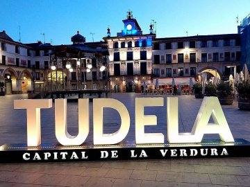 Acompa�amiento en actividades de ocio, deporte, social y sanidad. Tudela