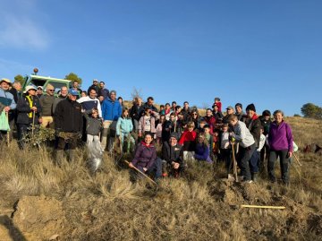 Repoblaci�n forestal en Obanos