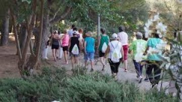 Paseos saludables 