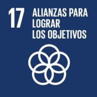 Alianzas entre los agentes implicados en el voluntariado