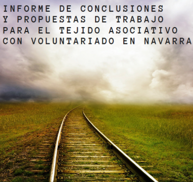 Anlisis realidad voluntaria en Navarra. Ao 2020
