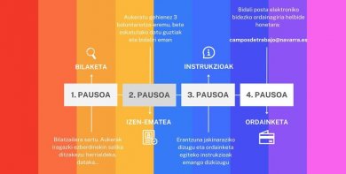 Campos del Servicio de Voluntariado Internacional