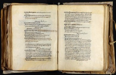 Izurri beltza mikroesposizio formatuan itzuliko da Nafarroara