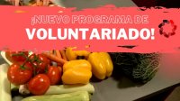 Oportunidades de voluntariado en Itxaropen Gune
