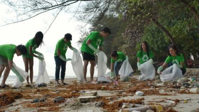 Oportunidades para el voluntariado juvenil