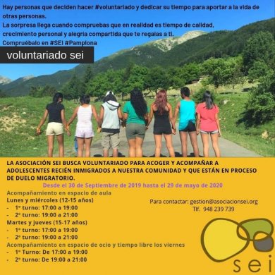 Programas de voluntariado en la Asociacin SEI