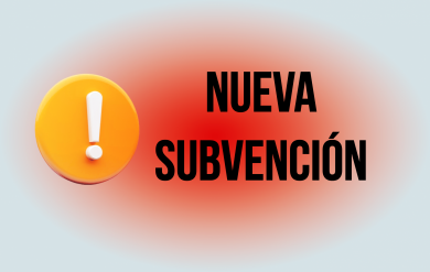 Subvencin a asociaciones de profesionales de la cultura 2024 