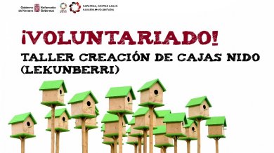 Voluntariado en Fundacin Astiz Irujo