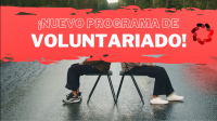 Voluntariado en Fundacin Ilundain 