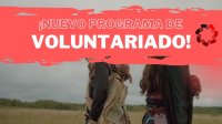 Voluntariado en la Fundacin Secretariado Gitano 
