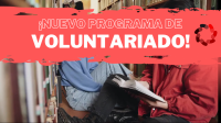 Voluntariado en la Fundacin Secretariado Gitano 