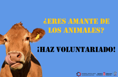 Voluntariado en Santuario Animal Corazn Verde