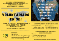 Voluntariado en SEI