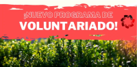 Voluntariado organizado por la Sección de Planificación Forestal